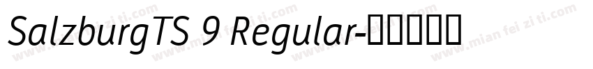 SalzburgTS 9 Regular字体转换